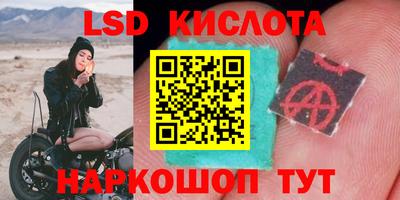 шишки Краснокаменск