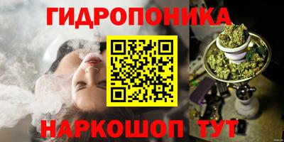 шишки Краснокаменск